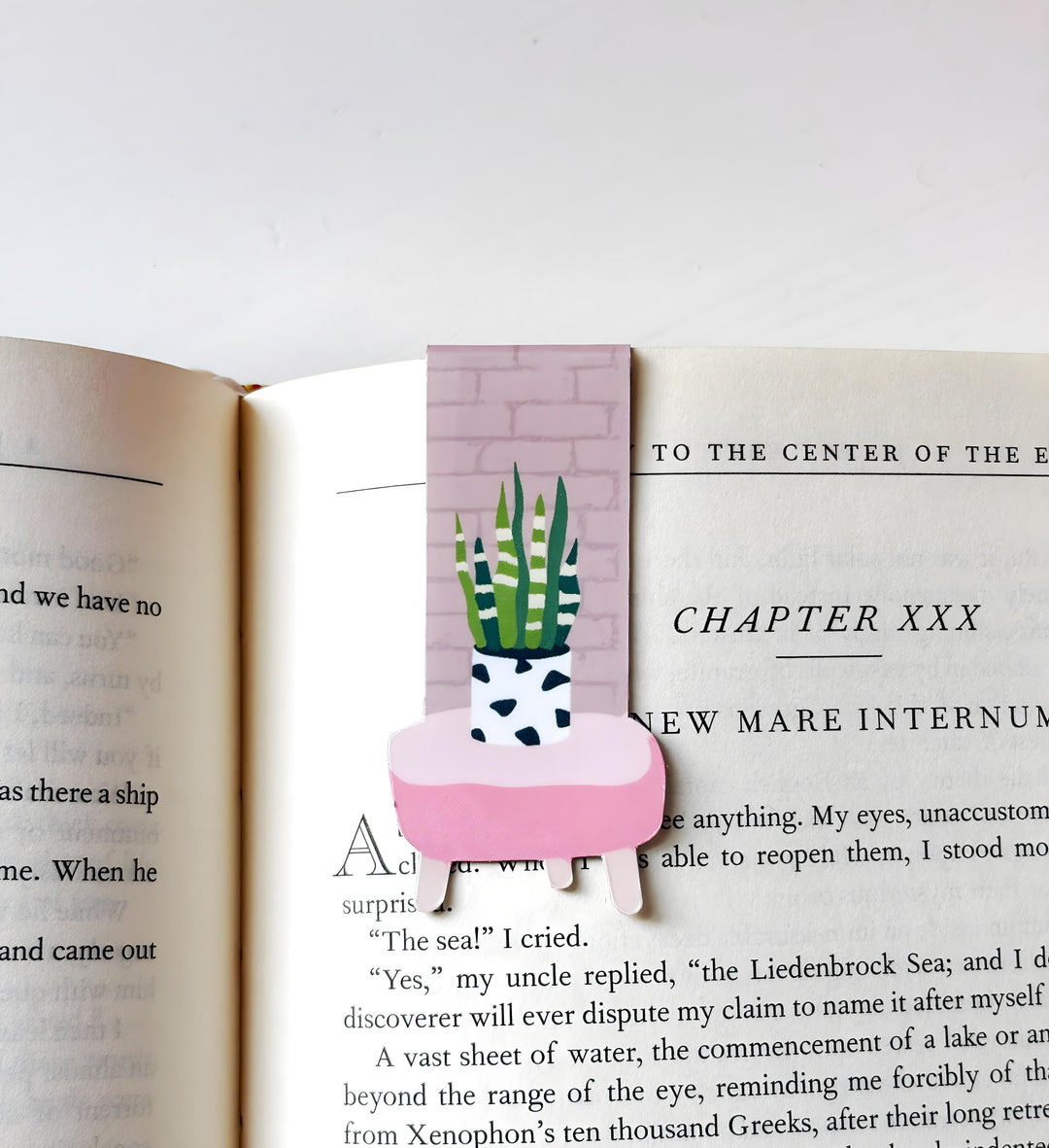 Botanical Whispers – House Plant Lovers Magnetic Bookmark Set